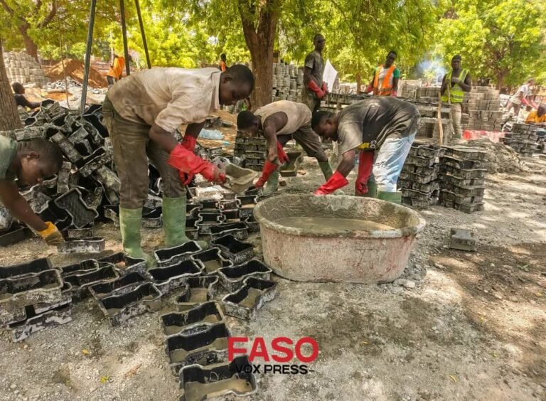Faso Mêbo : La jeunesse burkinabè retrousse ses manches pour un Burkina moderne