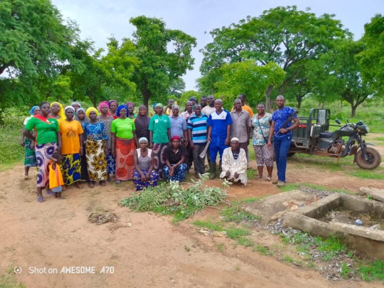 Komki-Ipala : Avec un champ communautaire de 5 hectares, l’offensive agro-sylvo-pastorale s’enracine à Yaoghin