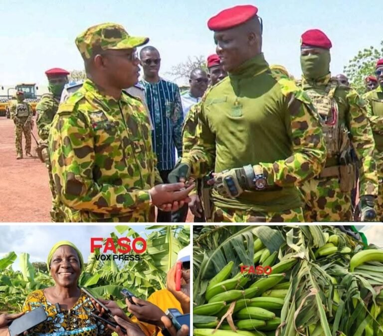Bobo-Dioulasso – La banane plantain, nouveau fleuron agricole “Made in Burkina”
