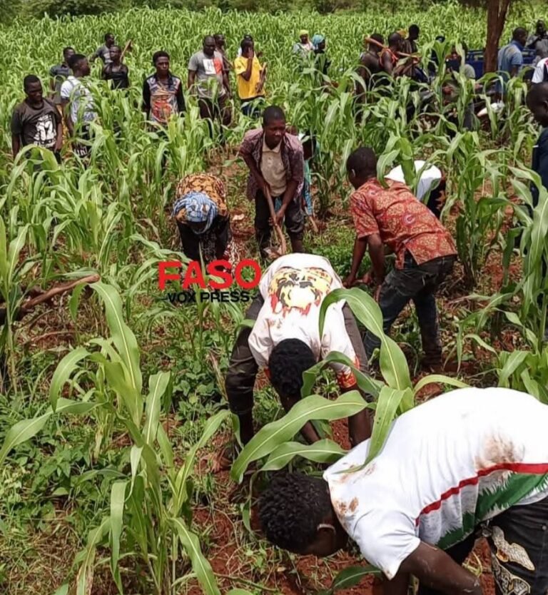 Yako/ Agriculture : mobilisation citoyenne pour soutenir la famille d’un VDP engagé au front