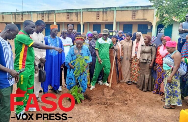 Le Mouvement pour le Réveil de l&rsquo;Afrique lance une campagne de plantation de 2 000 arbres