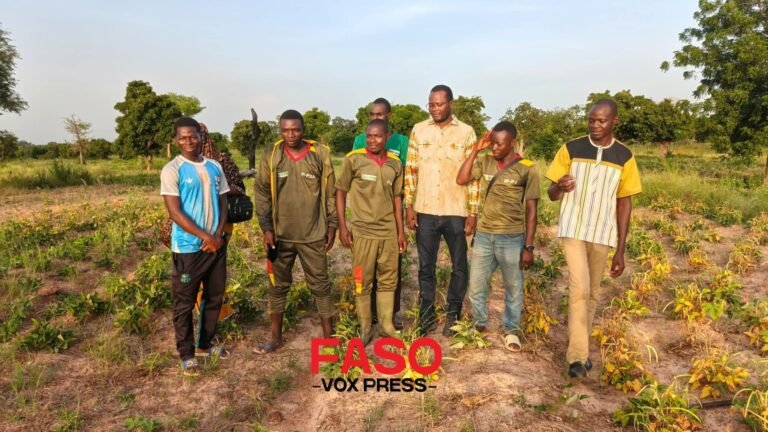 Région du Nando : Inoussa OUÉDRAOGO, Coordonnateur technique de l’IP3A, satisfait des productions des jeunes VDP agricoles à Poa et Ramongo