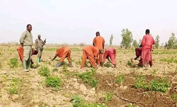 [#Burkina_Faso] la production agricole des détenus double l’objectif en 2025