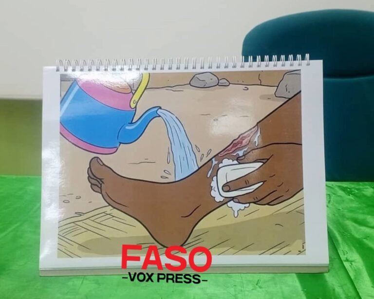 Burkina Faso/Lutte contre la rage humaine : déjà 140 000 animaux domestiques vaccinés (bilan provisoire)