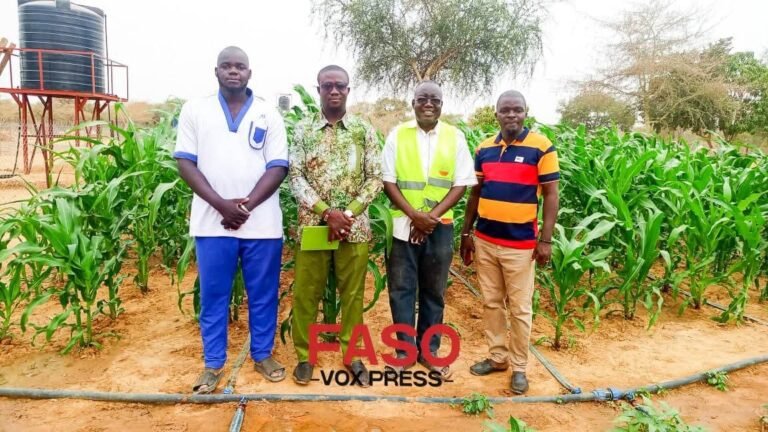Région de Yaadga /Yako : la Veille citoyenne encourage les VDP agricoles en formation au centre CLINISOL