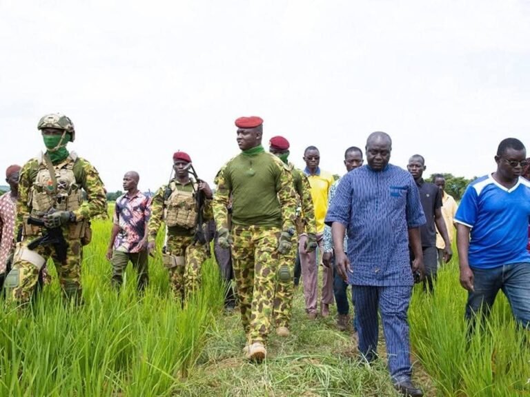 Burkina Faso/Révolution agricole : Quand le pays féconde sa souveraineté alimentaire sous l’impulsion du Capitaine Ibrahim TRAORÉ