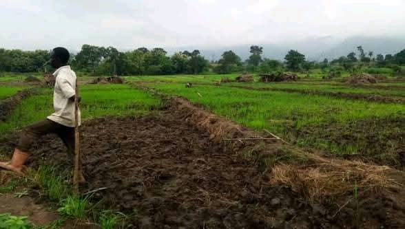 Burkina_Faso: des dizaines de milliers d’hectares et de bas-fonds à aménager pour l’autosuffisance alimentaire