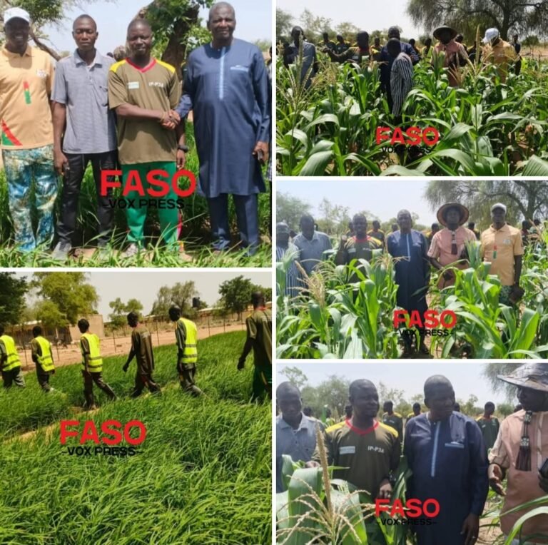[#Burkina_Faso] Région du Goulmou / Agriculture : le Chargé de mission Florent Pema NEYA s’enquiert des futurs bâtisseurs de la souveraineté alimentaire