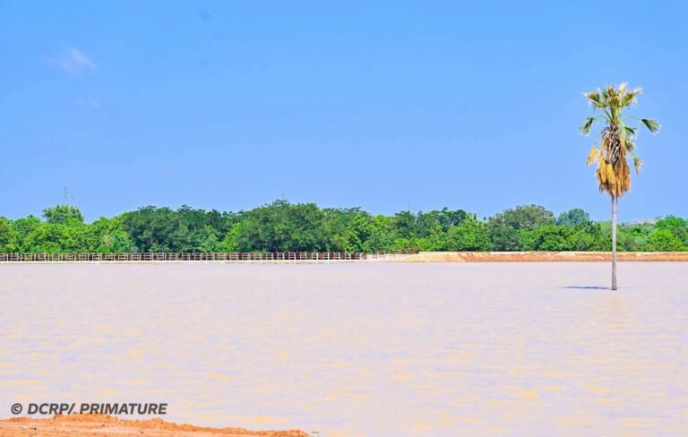 Burkina Faso: les ressources hydrauliques au cœur de la conquête de la souveraineté alimentaire