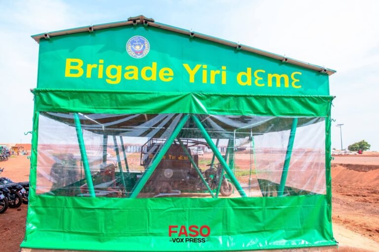 Yiri dƐmƐ : une brigade pour sauver les arbres de la voie de contournement